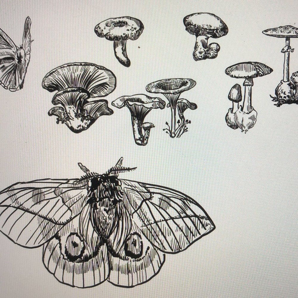 Custom Tattoo Flash Designs - Picture 8 of 14